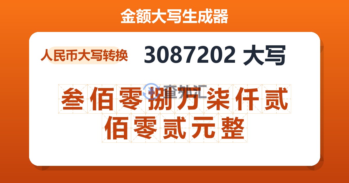 3087202大写 叁佰零捌万柒仟贰佰零贰元整