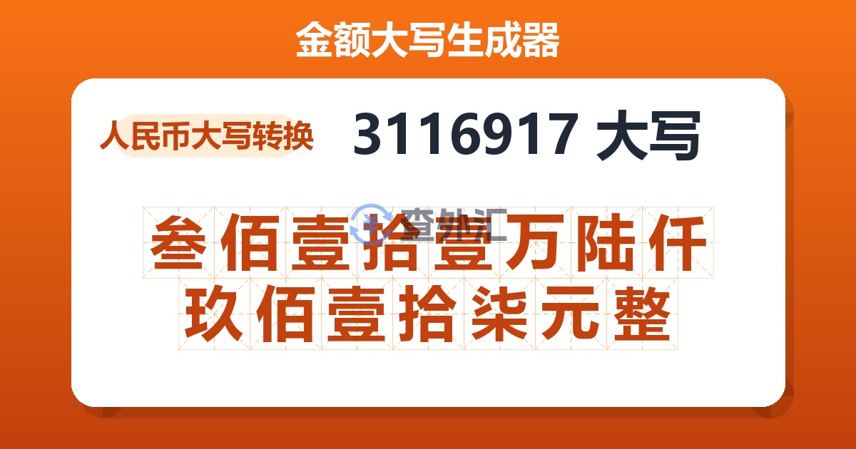 3116917大写 叁佰壹拾壹万陆仟玖佰壹拾柒元整