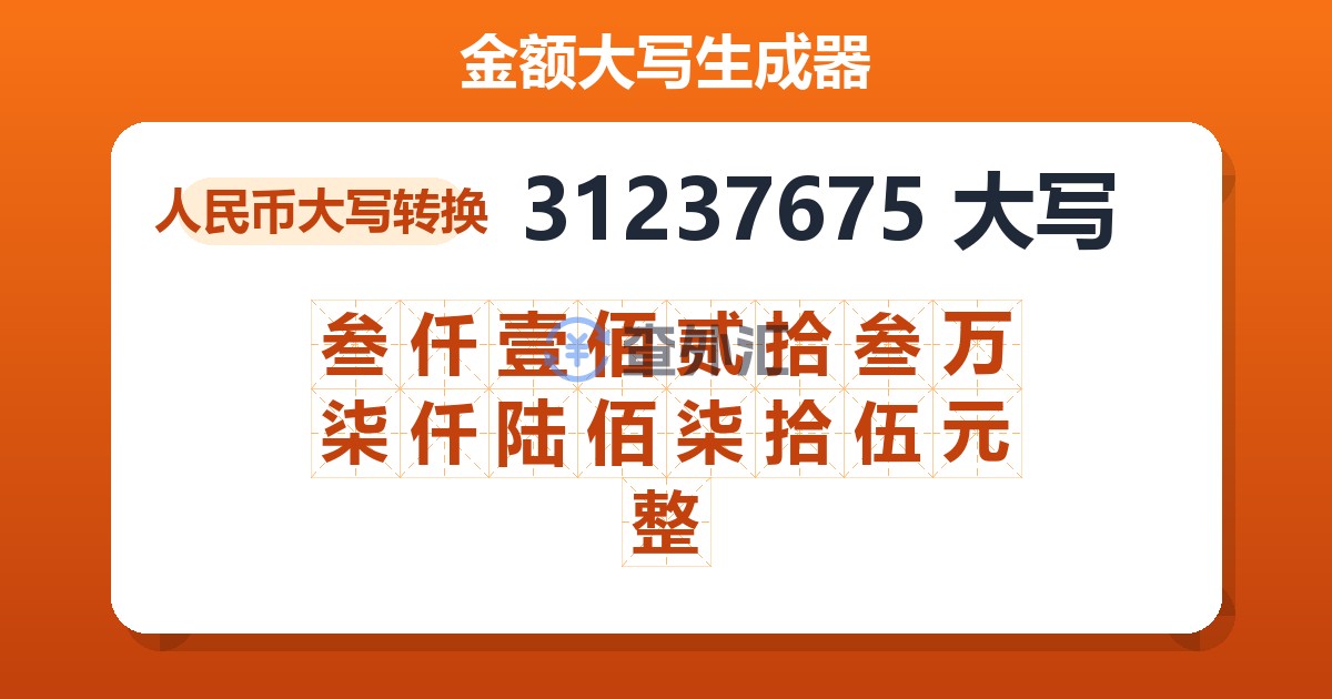 31237675大写 叁仟壹佰贰拾叁万柒仟陆佰柒拾伍元整