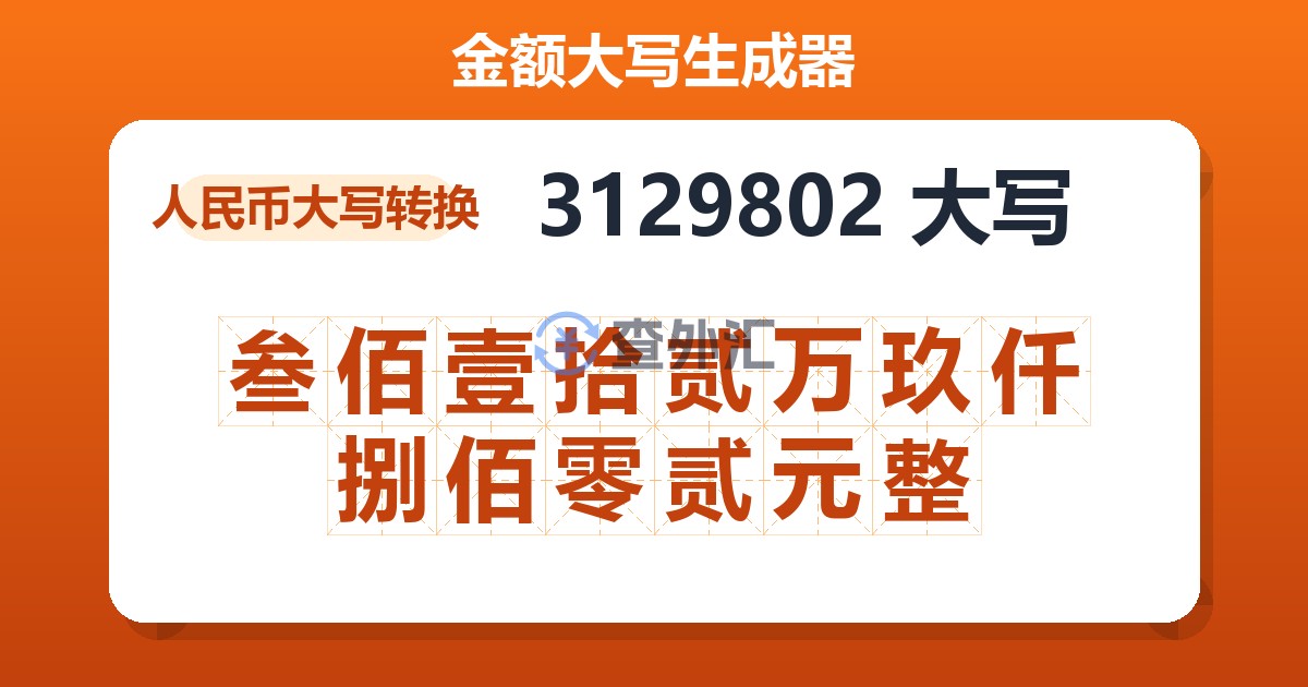 3129802大写 叁佰壹拾贰万玖仟捌佰零贰元整
