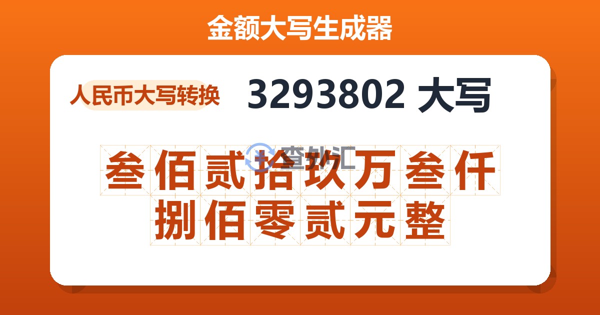 3293802大写 叁佰贰拾玖万叁仟捌佰零贰元整