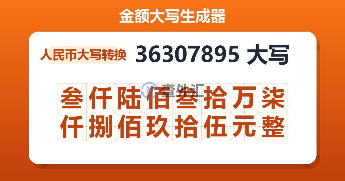 36307895大写 叁仟陆佰叁拾万柒仟捌佰玖拾伍元整