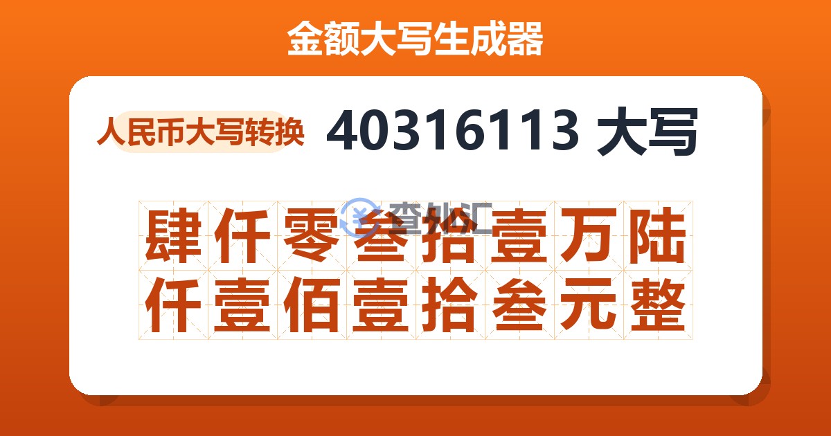 40316113大写 肆仟零叁拾壹万陆仟壹佰壹拾叁元整