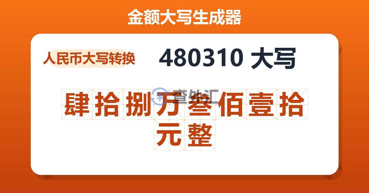 480310大写 肆拾捌万叁佰壹拾元整