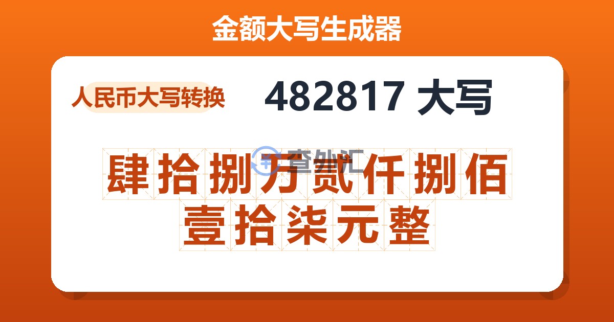 482817大写 肆拾捌万贰仟捌佰壹拾柒元整
