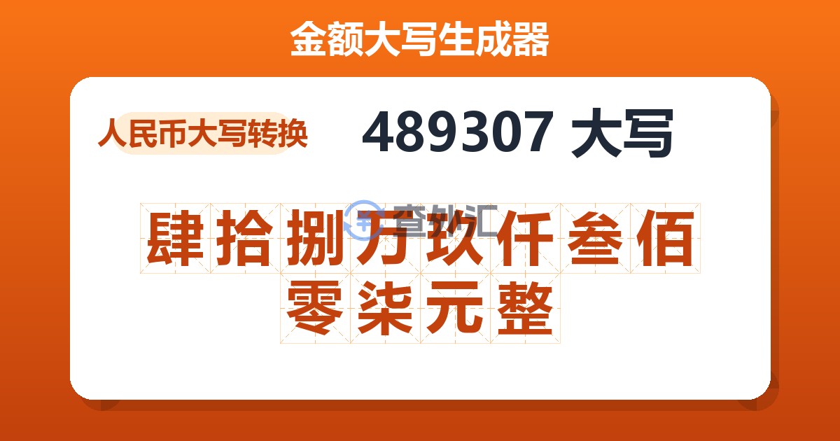 489307大写 肆拾捌万玖仟叁佰零柒元整