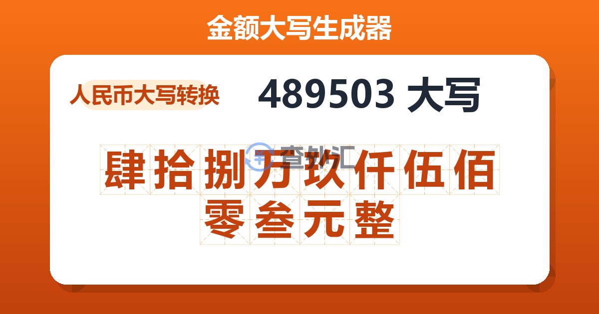 489503大写 肆拾捌万玖仟伍佰零叁元整