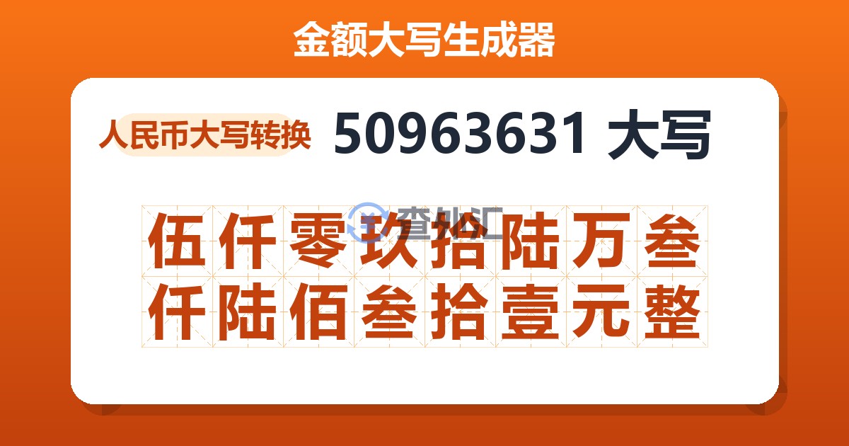 50963631大写 伍仟零玖拾陆万叁仟陆佰叁拾壹元整