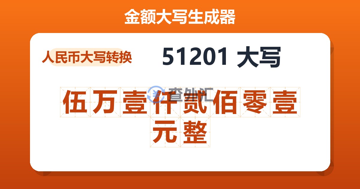 51201大写 伍万壹仟贰佰零壹元整