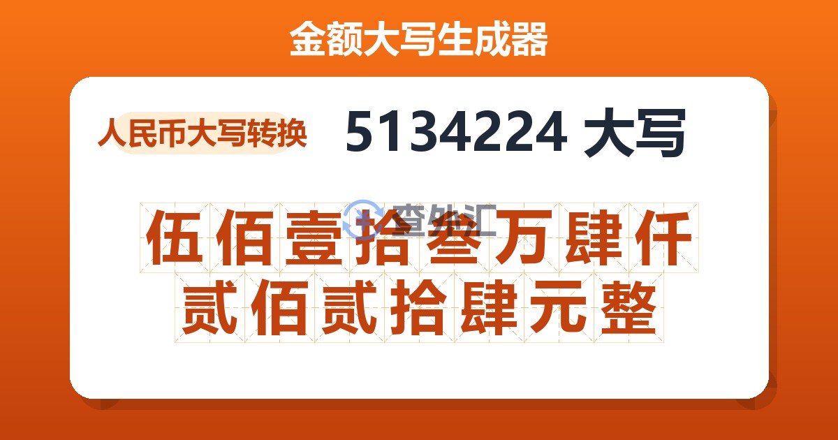 5134224大写 伍佰壹拾叁万肆仟贰佰贰拾肆元整