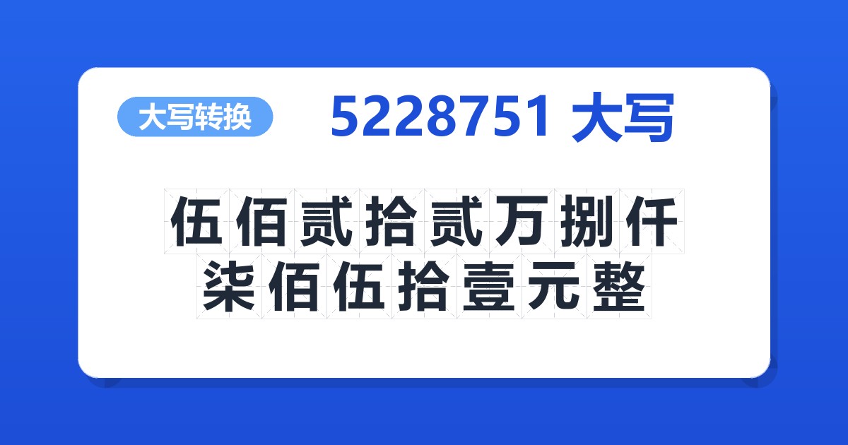 5228751大写 伍佰贰拾贰万捌仟柒佰伍拾壹元整
