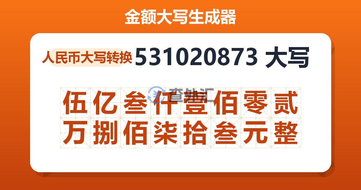 531020873大写 伍亿叁仟壹佰零贰万捌佰柒拾叁元整