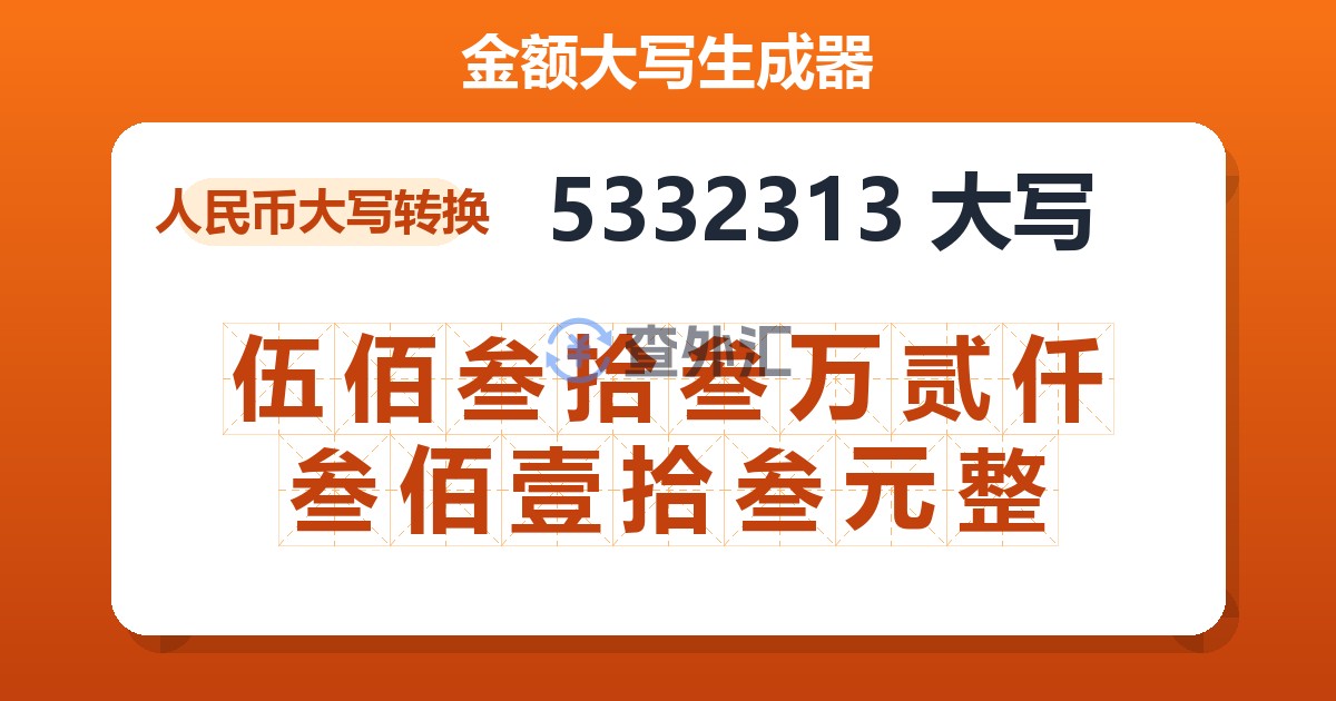 5332313大写 伍佰叁拾叁万贰仟叁佰壹拾叁元整