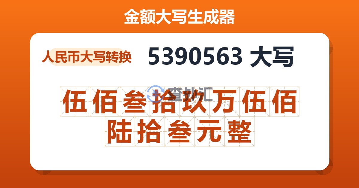 5390563大写 伍佰叁拾玖万伍佰陆拾叁元整