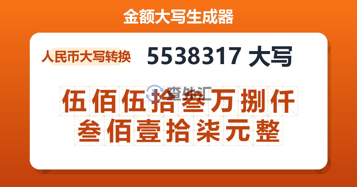 5538317大写 伍佰伍拾叁万捌仟叁佰壹拾柒元整
