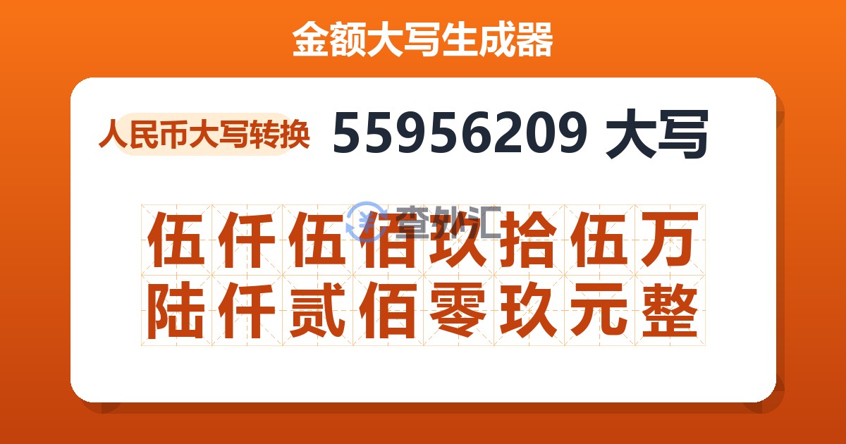 55956209大写 伍仟伍佰玖拾伍万陆仟贰佰零玖元整