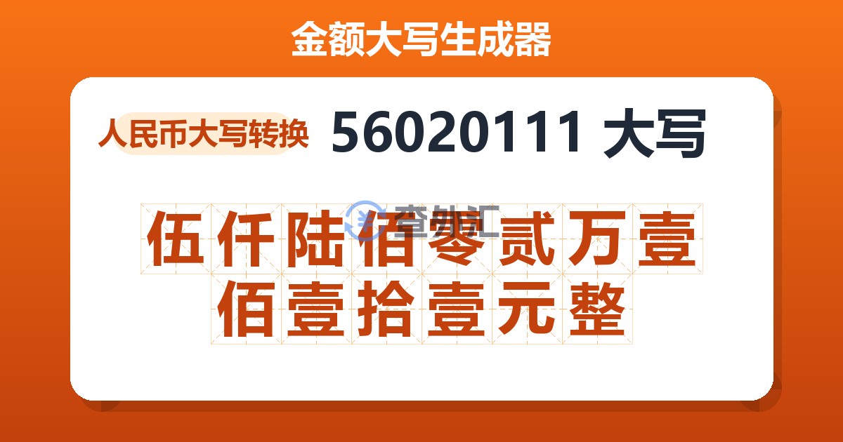 56020111大写 伍仟陆佰零贰万壹佰壹拾壹元整