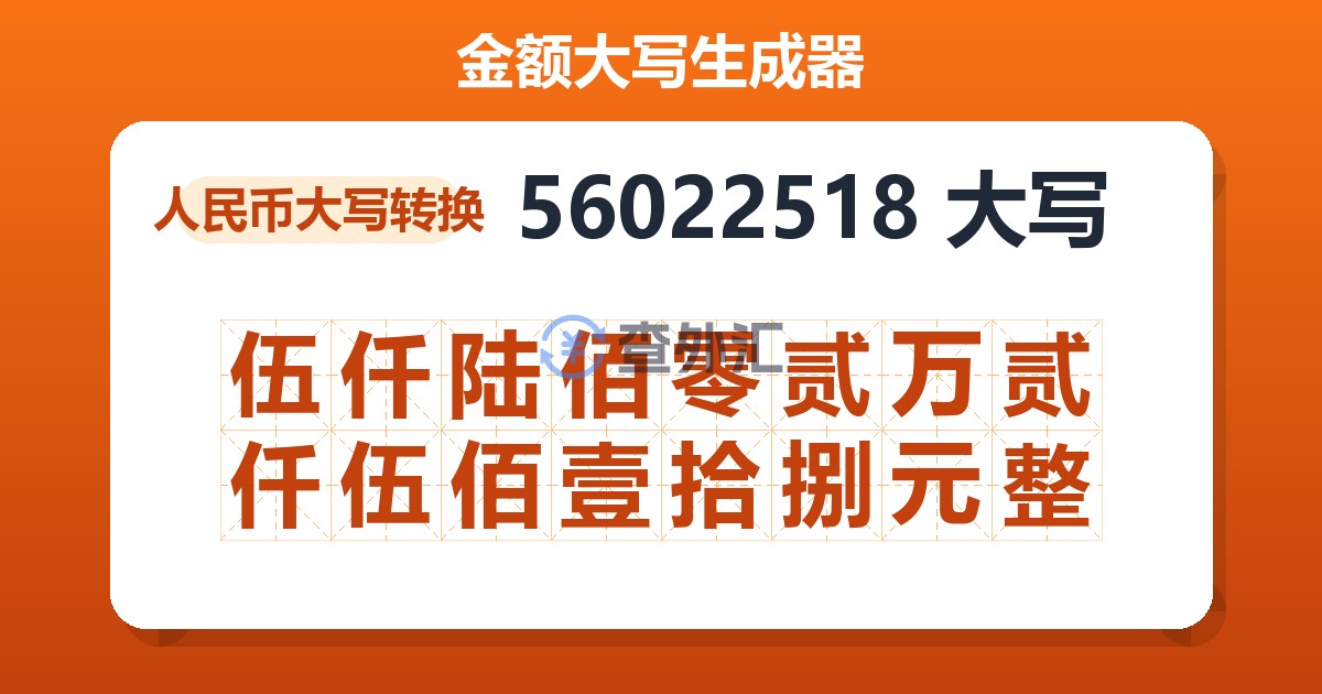 56022518大写 伍仟陆佰零贰万贰仟伍佰壹拾捌元整