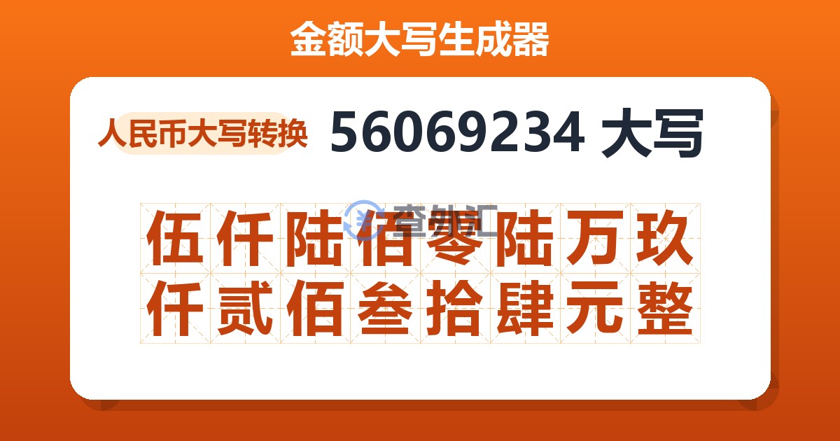 56069234大写 伍仟陆佰零陆万玖仟贰佰叁拾肆元整