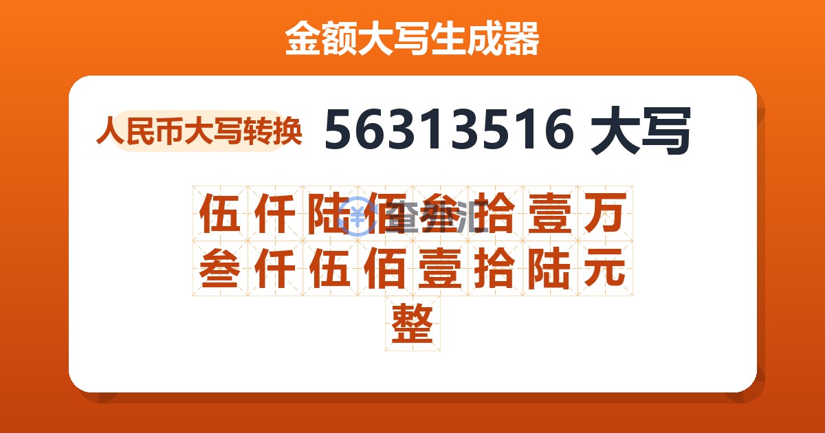 56313516大写 伍仟陆佰叁拾壹万叁仟伍佰壹拾陆元整
