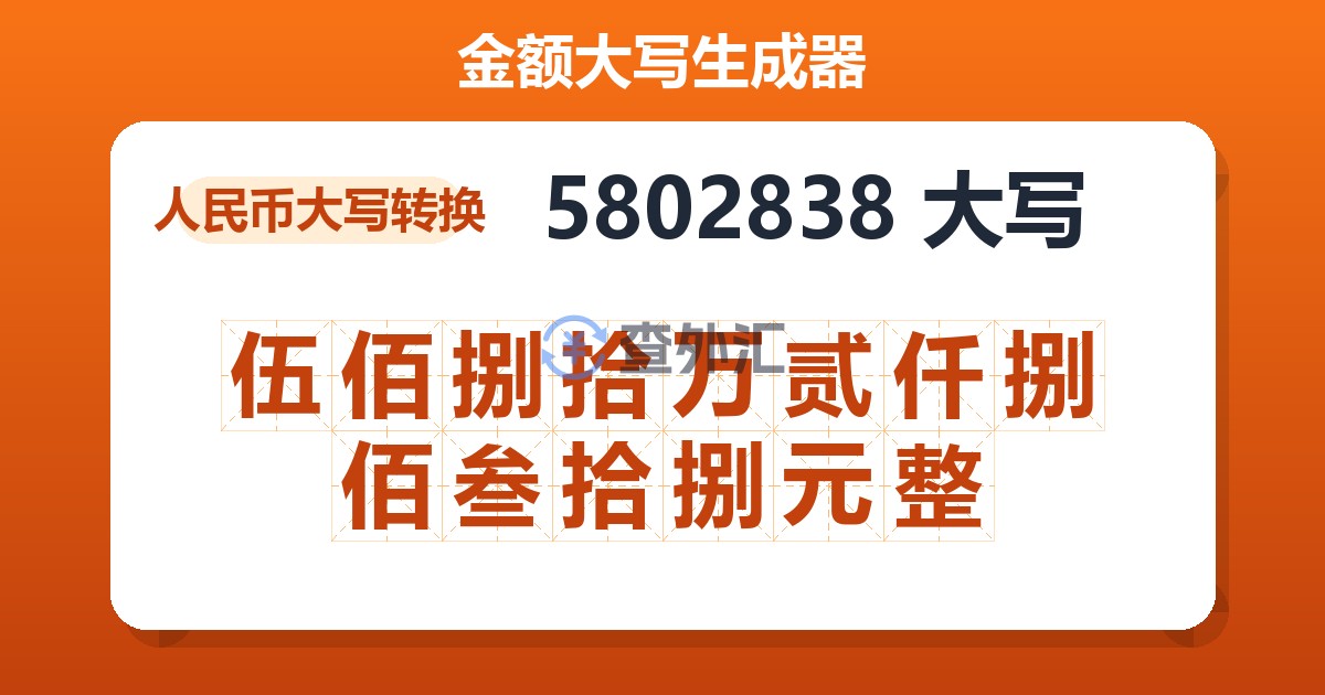 5802838大写 伍佰捌拾万贰仟捌佰叁拾捌元整