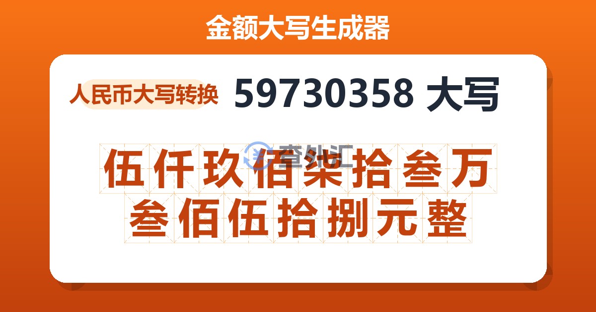 59730358大写 伍仟玖佰柒拾叁万叁佰伍拾捌元整
