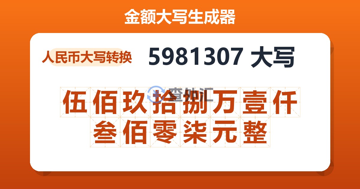 5981307大写 伍佰玖拾捌万壹仟叁佰零柒元整