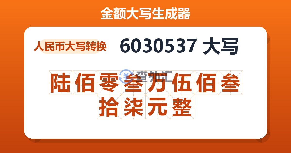 6030537大写 陆佰零叁万伍佰叁拾柒元整