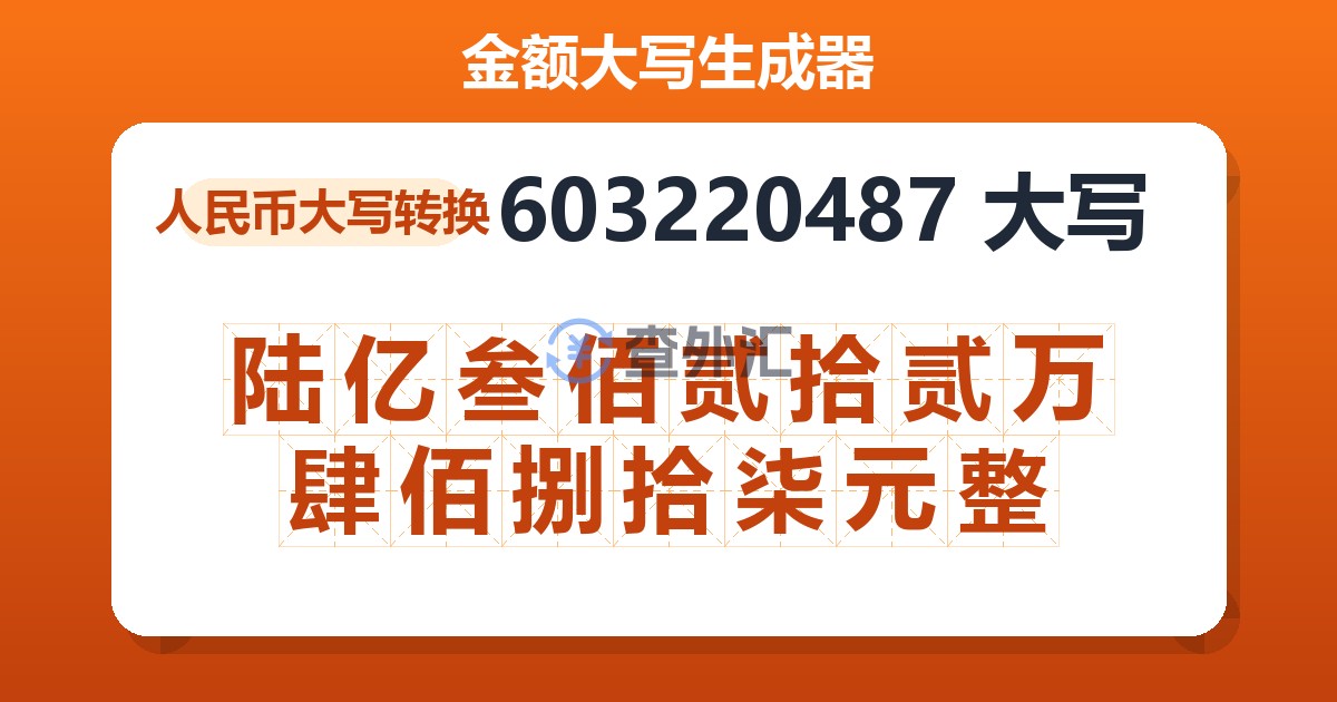 603220487大写 陆亿叁佰贰拾贰万肆佰捌拾柒元整