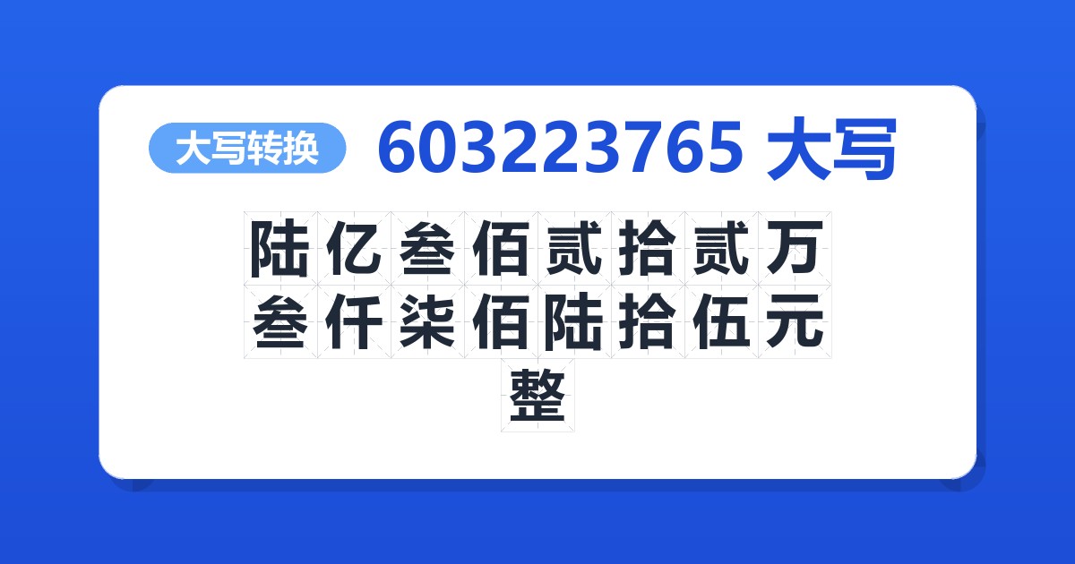 603223765大写 陆亿叁佰贰拾贰万叁仟柒佰陆拾伍元整