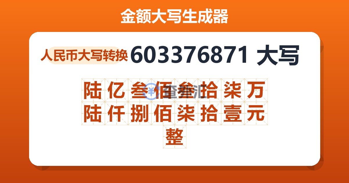 603376871大写 陆亿叁佰叁拾柒万陆仟捌佰柒拾壹元整
