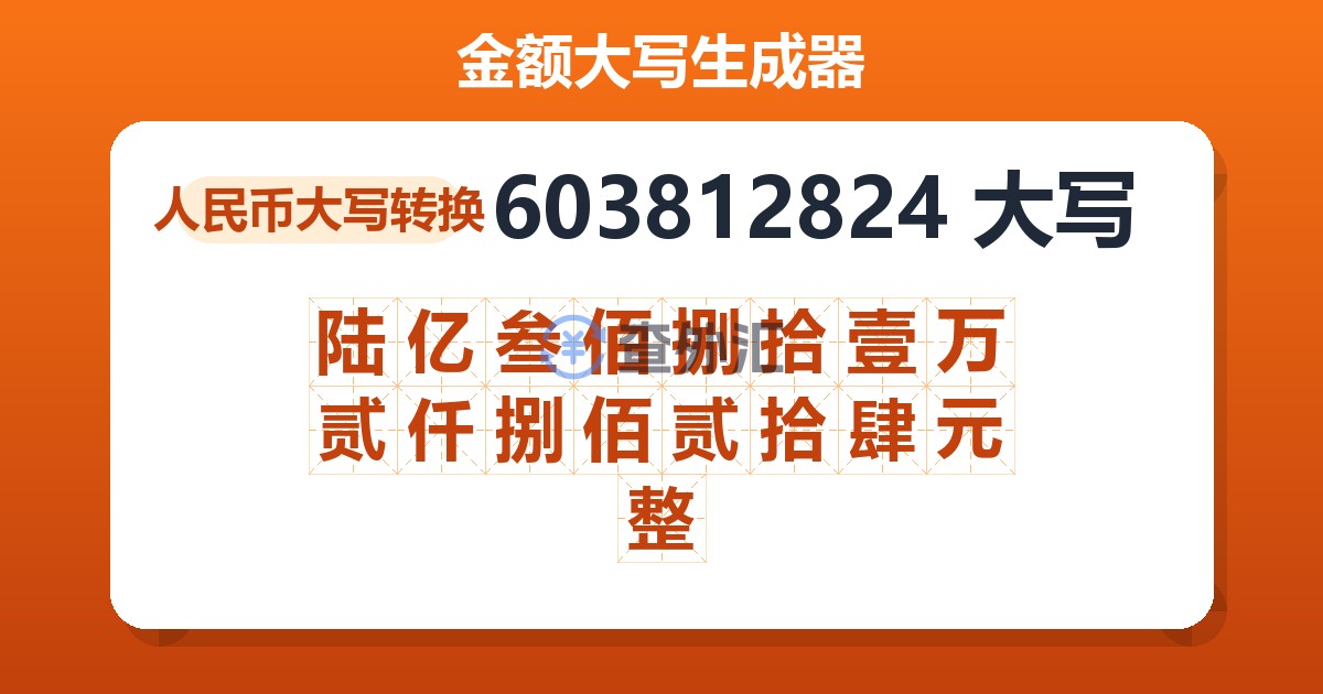603812824大写 陆亿叁佰捌拾壹万贰仟捌佰贰拾肆元整