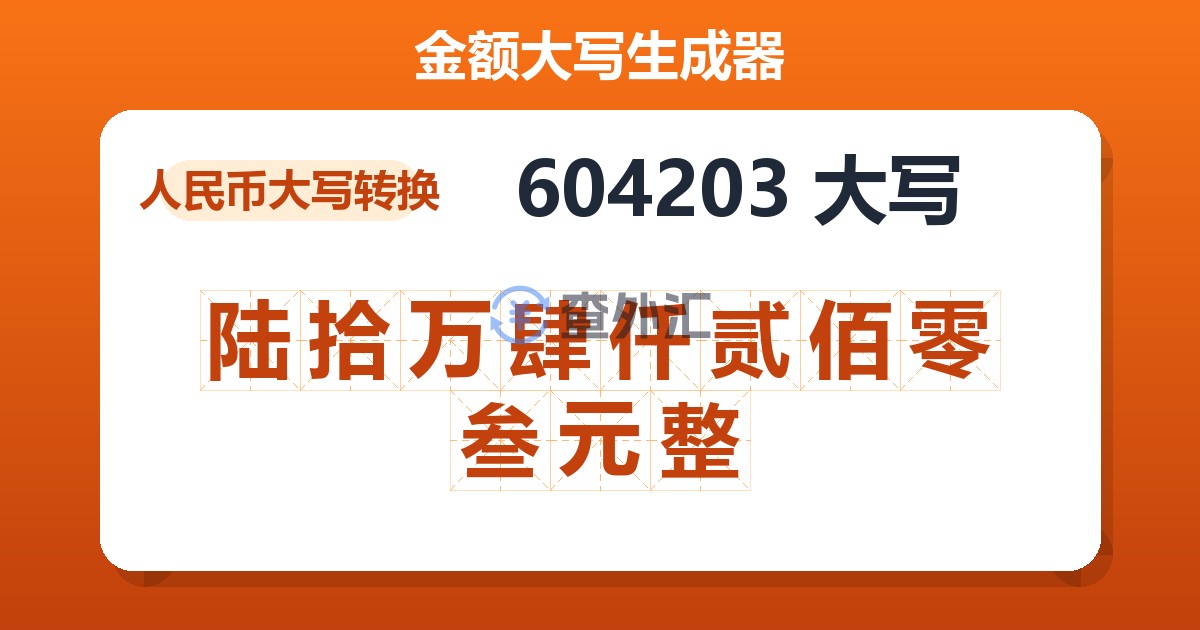 604203大写 陆拾万肆仟贰佰零叁元整