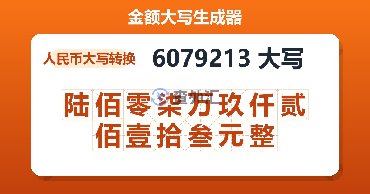 6079213大写 陆佰零柒万玖仟贰佰壹拾叁元整