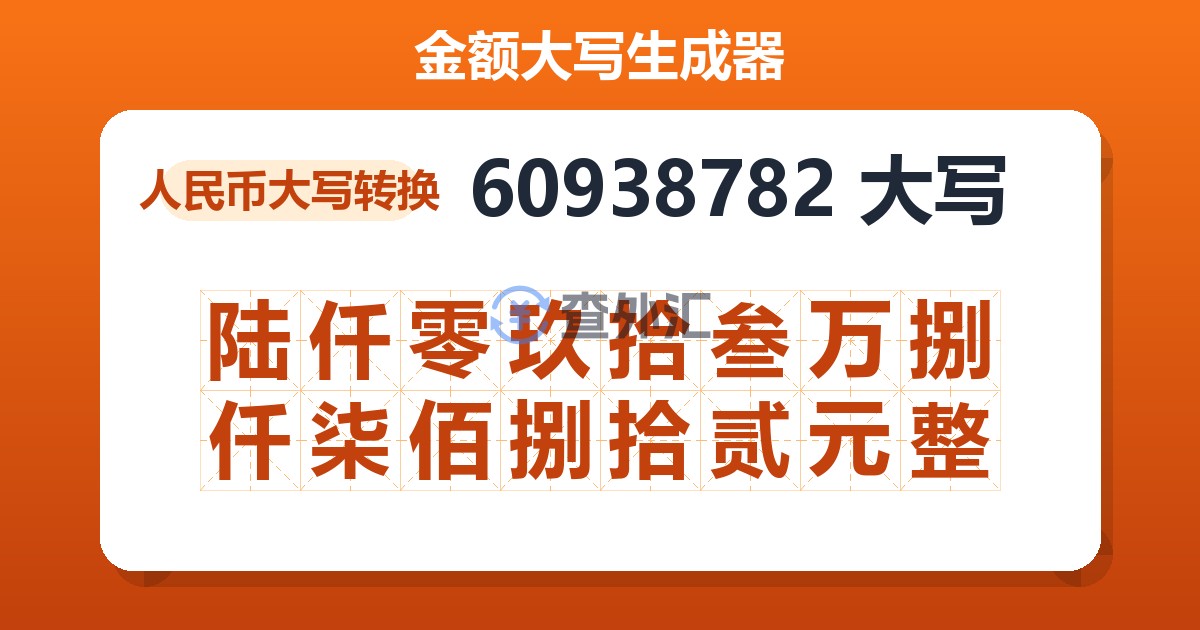 60938782大写 陆仟零玖拾叁万捌仟柒佰捌拾贰元整