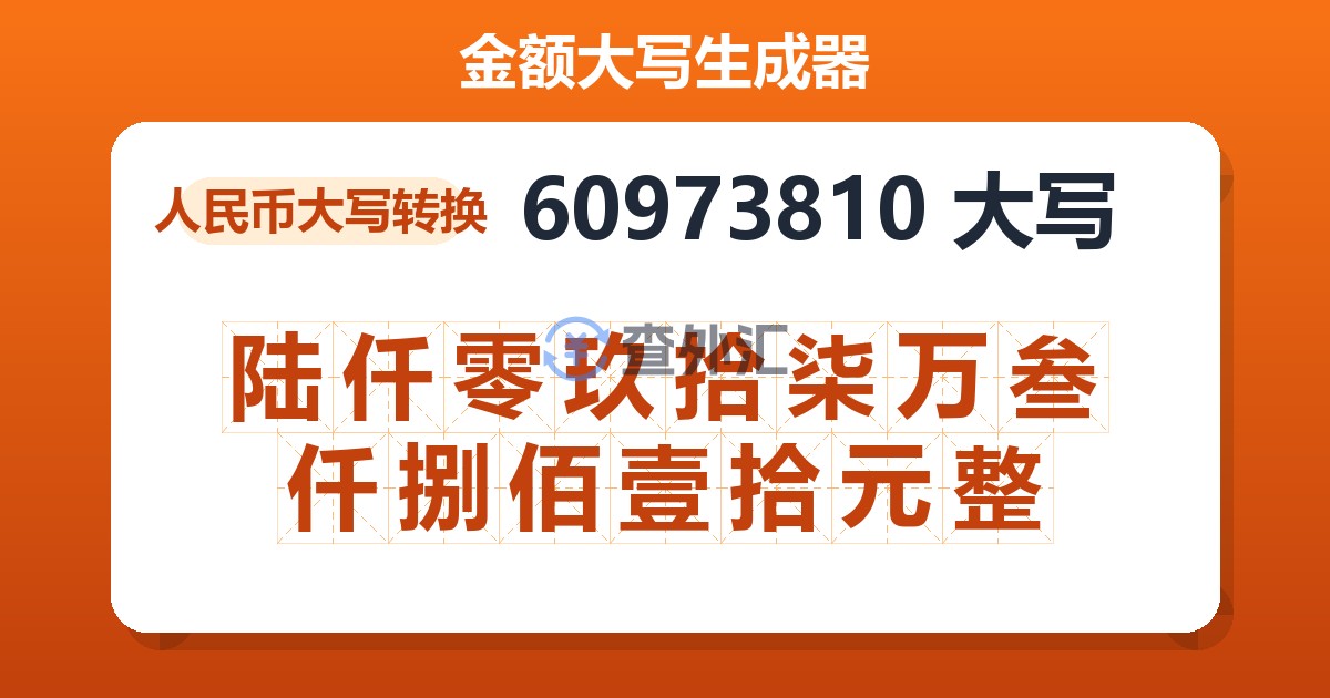 60973810大写 陆仟零玖拾柒万叁仟捌佰壹拾元整