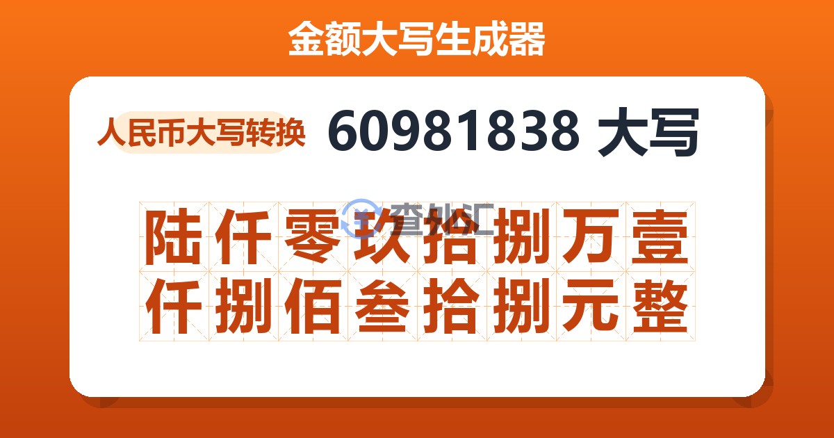 60981838大写 陆仟零玖拾捌万壹仟捌佰叁拾捌元整