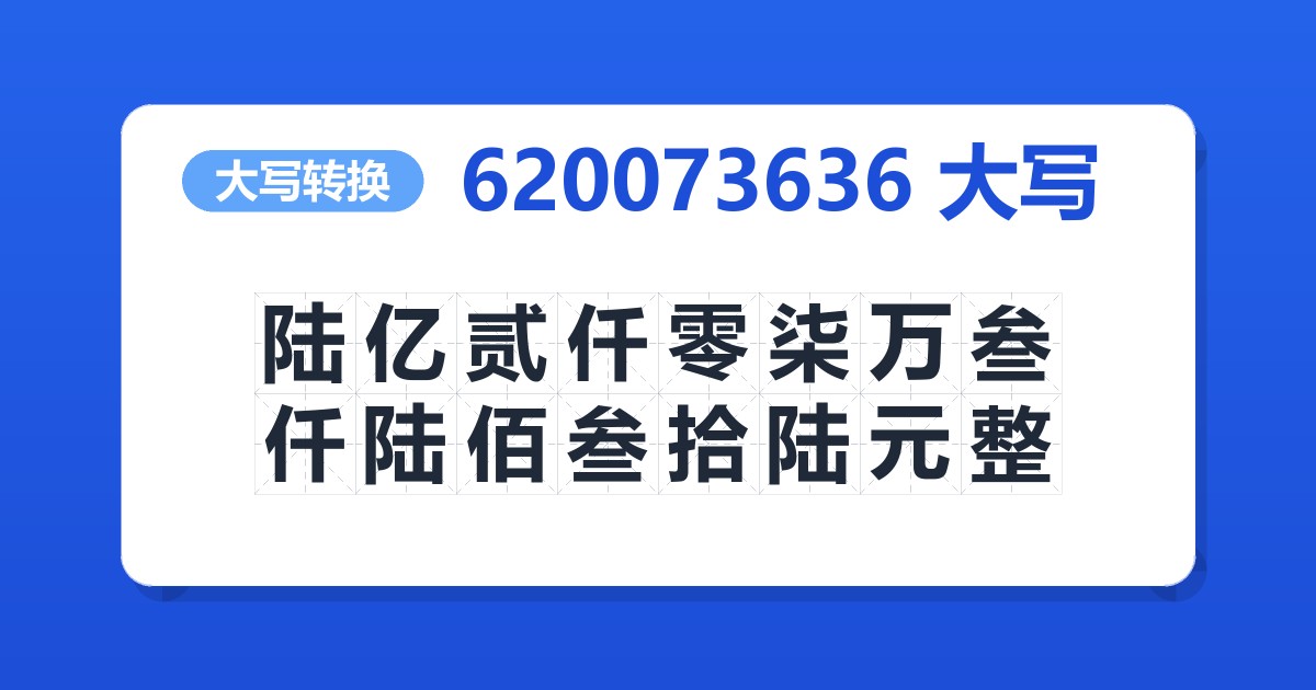 620073636大写 陆亿贰仟零柒万叁仟陆佰叁拾陆元整