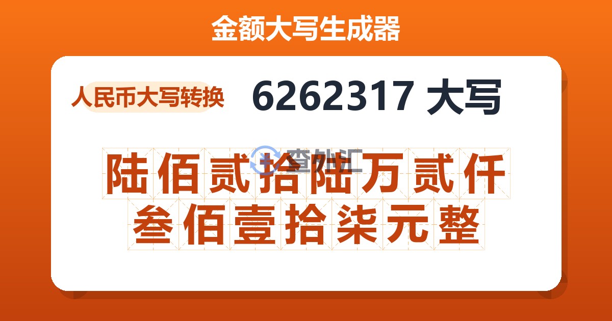6262317大写 陆佰贰拾陆万贰仟叁佰壹拾柒元整