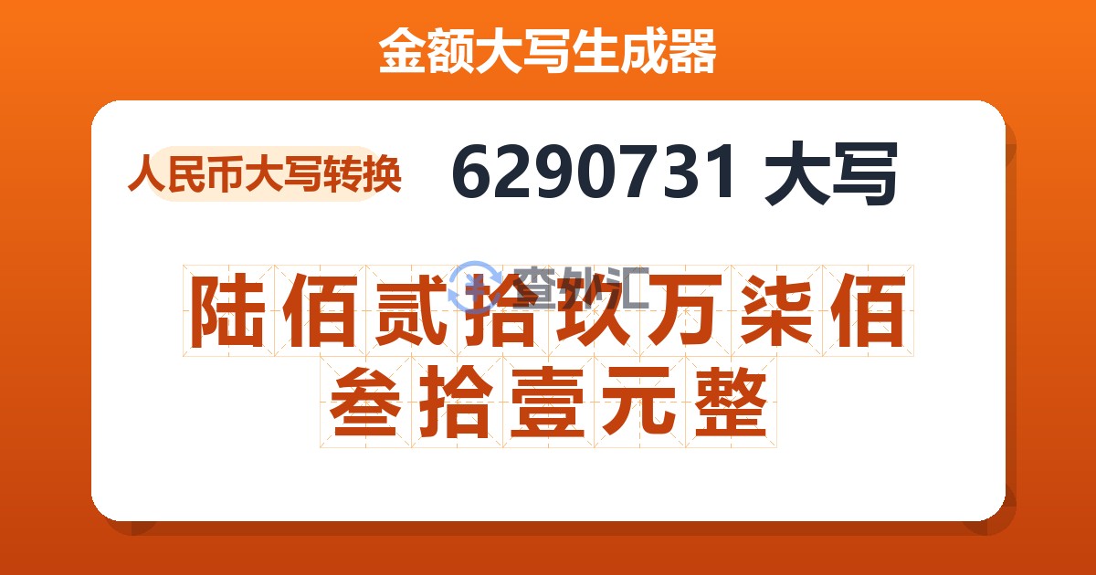 6290731大写 陆佰贰拾玖万柒佰叁拾壹元整