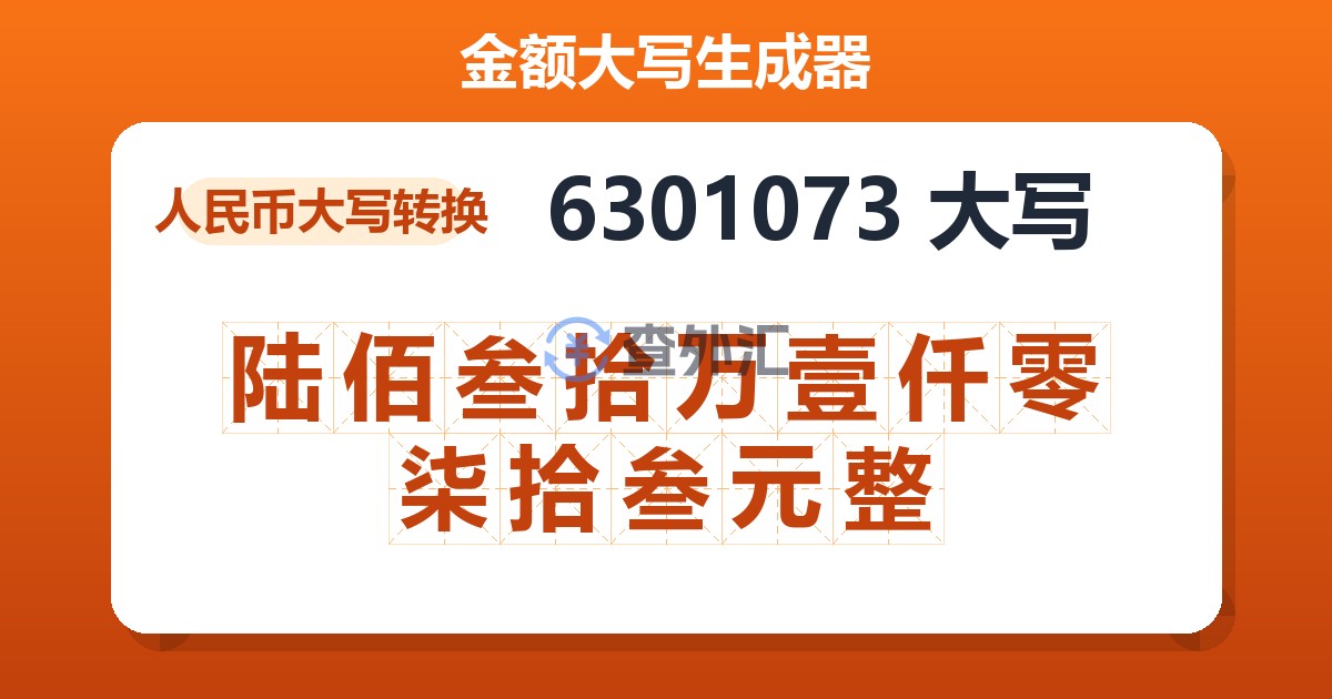 6301073大写 陆佰叁拾万壹仟零柒拾叁元整