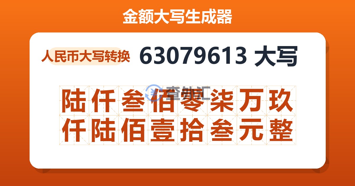 63079613大写 陆仟叁佰零柒万玖仟陆佰壹拾叁元整