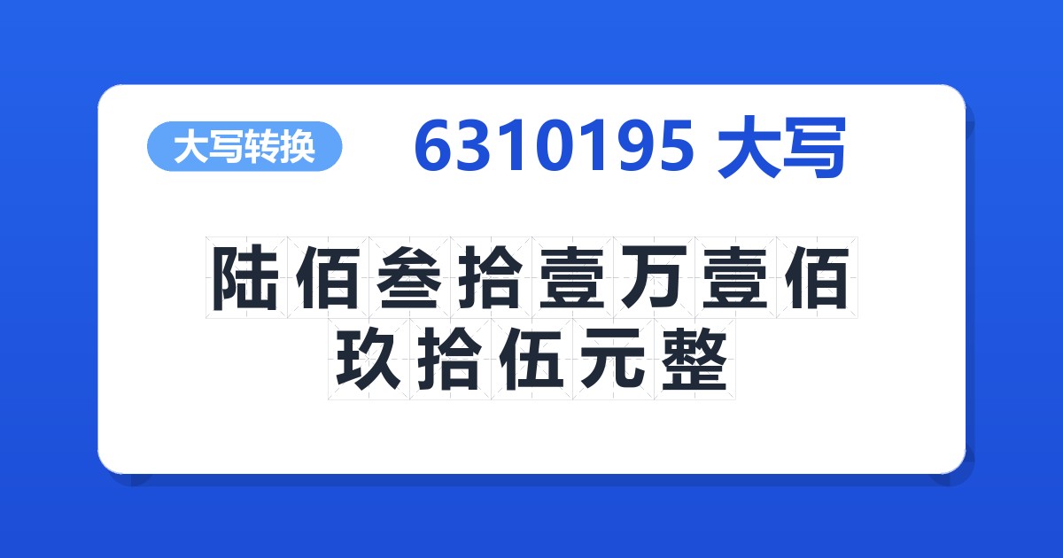 6310195大写 陆佰叁拾壹万壹佰玖拾伍元整
