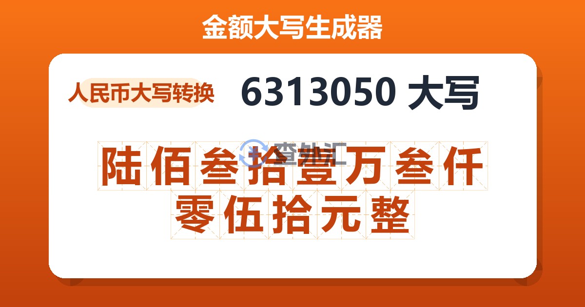 6313050大写 陆佰叁拾壹万叁仟零伍拾元整