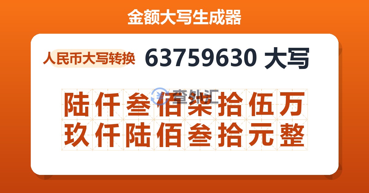 63759630大写 陆仟叁佰柒拾伍万玖仟陆佰叁拾元整