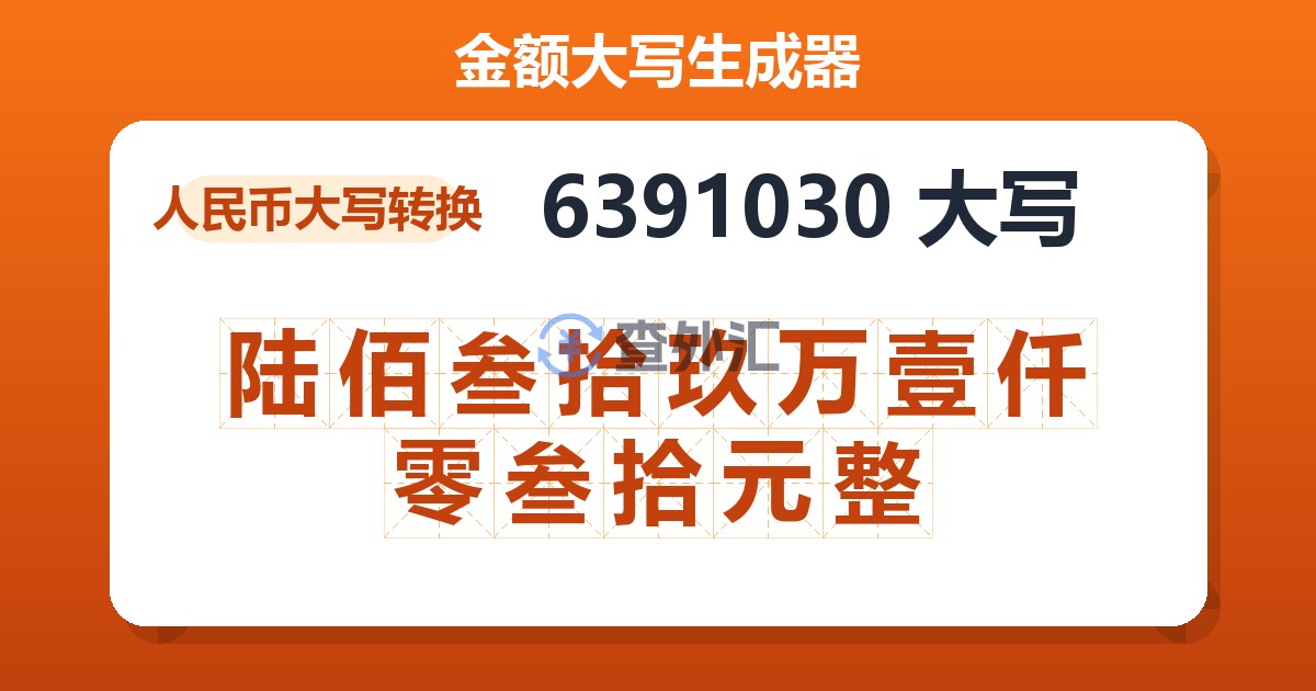 6391030大写 陆佰叁拾玖万壹仟零叁拾元整