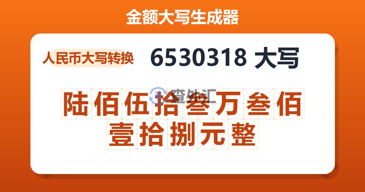 6530318大写 陆佰伍拾叁万叁佰壹拾捌元整