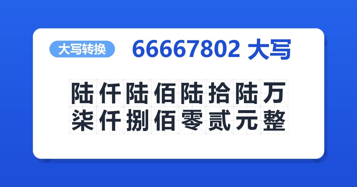 66667802大写 陆仟陆佰陆拾陆万柒仟捌佰零贰元整