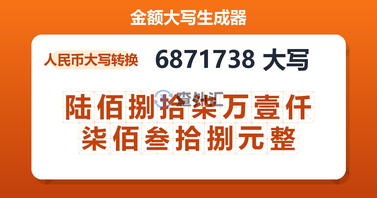 6871738大写 陆佰捌拾柒万壹仟柒佰叁拾捌元整