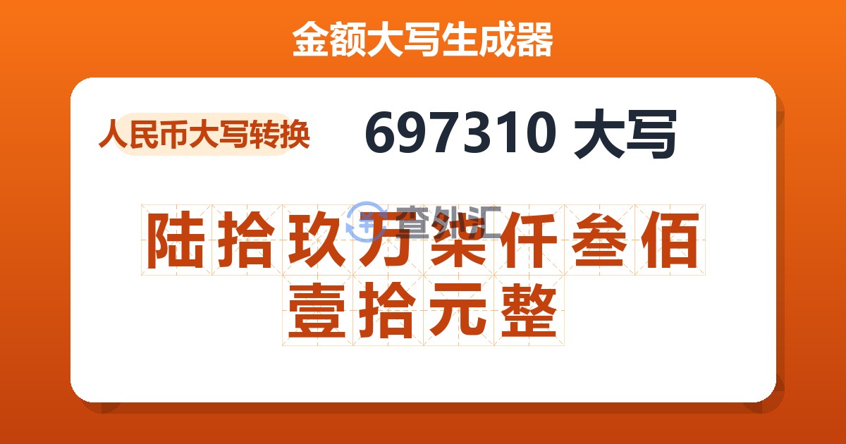 697310大写 陆拾玖万柒仟叁佰壹拾元整